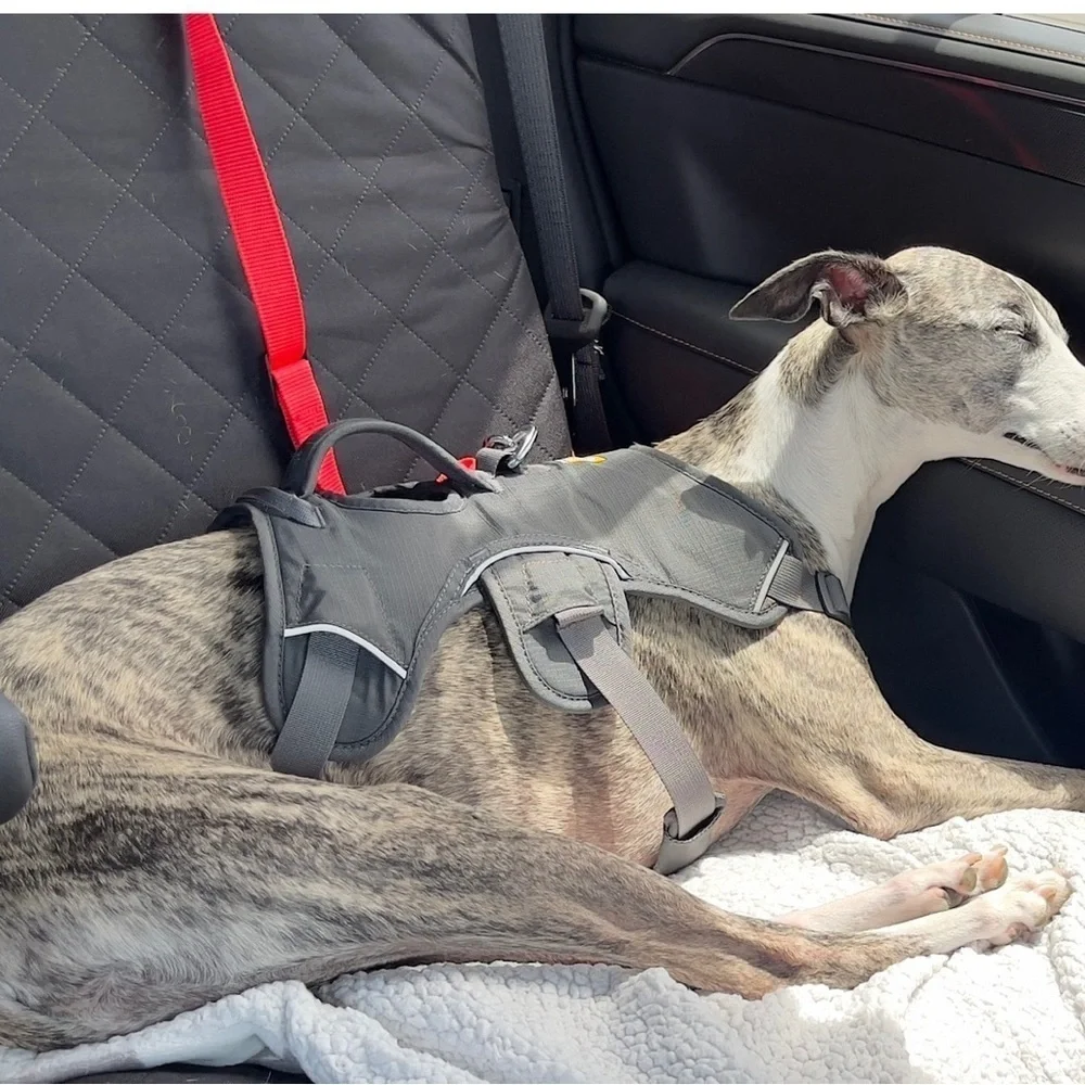 New Dog Safety Strap For Car / Truck / Auto Army Green